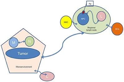 Emerging Opportunities of Radiotherapy Combined With Immunotherapy in the Era of Breast Cancer Heterogeneity